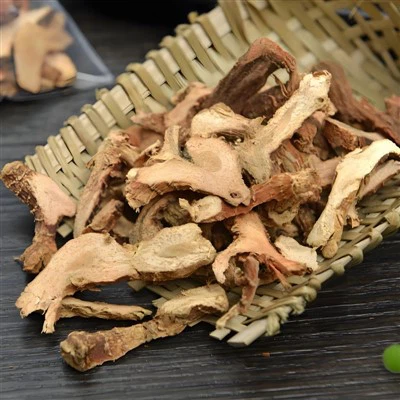 Használják-e a galangalt az ázsiai hagyományos orvoslásban?