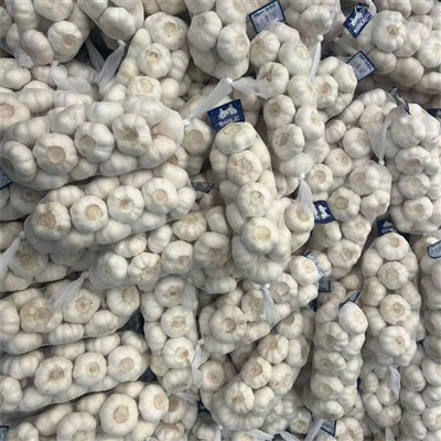 A fokhagymás rizzsel gyökérrel